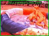 hot babes jelly wrestling