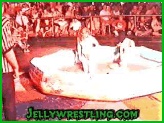 hot babes jelly wrestling